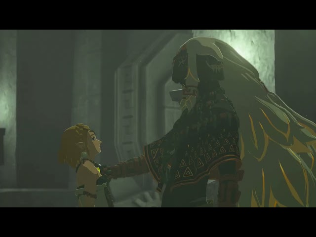13 Königliche Pflicht | Zelda Tears of the Kingdom Abenteuer Erinnerungen Drachenträne 10