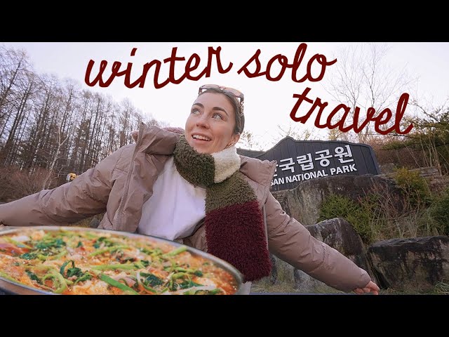 traveling ALONE in korea ❄️ hidden gem city vlog (taebaek)