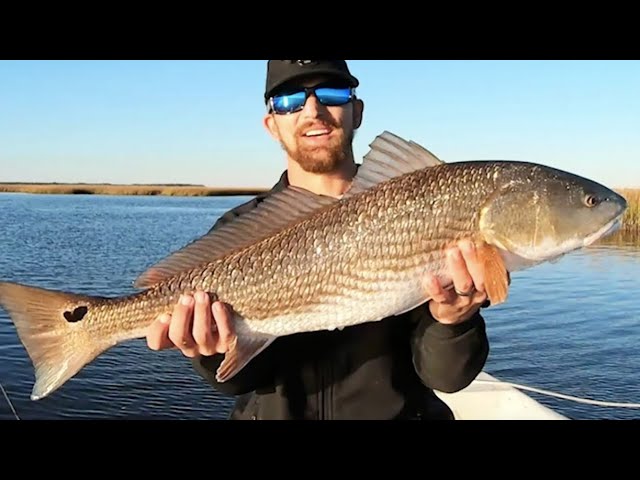 How To Catch OVERSLOT REDFISH (with MUD MINNOWS)