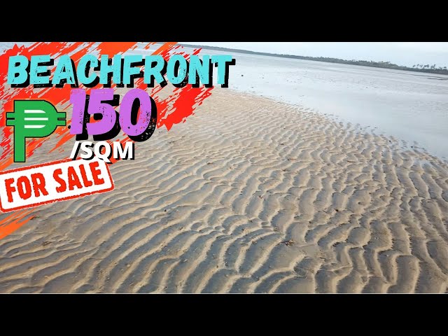 #28 Beachfront For Sale 🏖️ | Property for sale in the Philippines