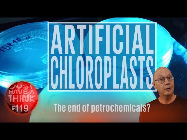 Artificial Photosynthesis. Nature shows us how to ditch petrochemicals!