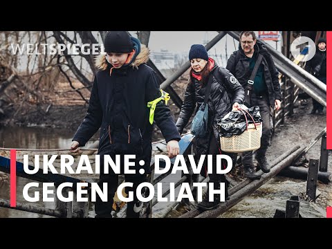Ukraine: David gegen Goliath | Weltspiegel Podcast