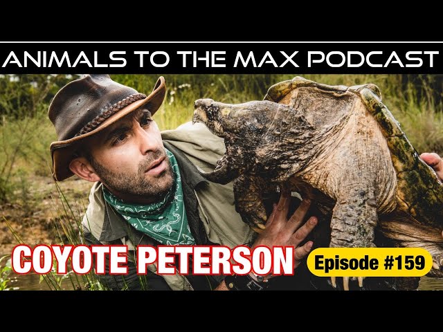 Coyote Peterson FULL INTERVIEW!!! 1/8/21