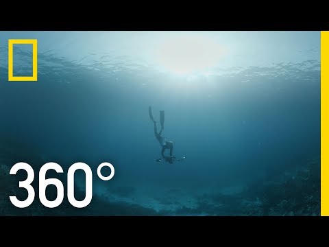 Indonesia's Coral Reefs - 360 | Into Water