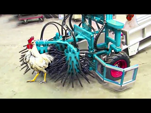 Amazing Agricultural Inventions and Ingenious Livestock Equipment