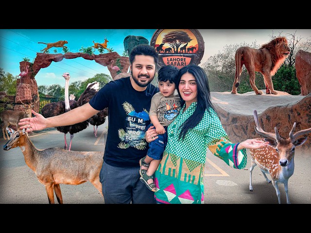 BEST EXPERIENCE OF WILDLIFE 😍 | Lion & Ostrich Ny Attack Ker Dea 😱 | Lahore Safari Park ♥️