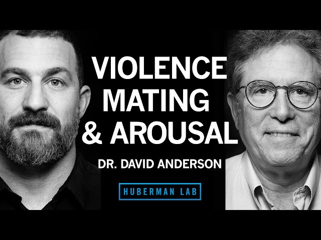Dr. David Anderson: The Biology of Aggression, Mating, & Arousal | Huberman Lab Podcast #89