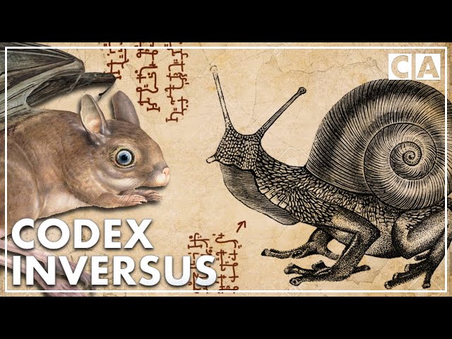 The Creatures of Codex Inversus