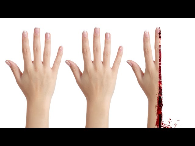 2 AND a HALF HANDS | Hand Simulator w/ JackSepticEye and Pokimane