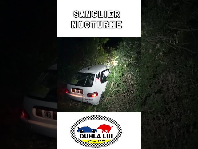 Sanglier nocturne Rallye du Bas Vivarais 2023