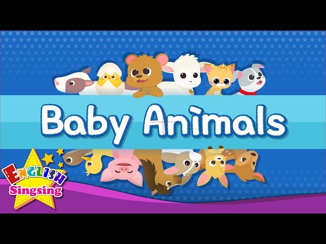 Kids vocabulary - Baby Animals - Learn English for kids - English educational video