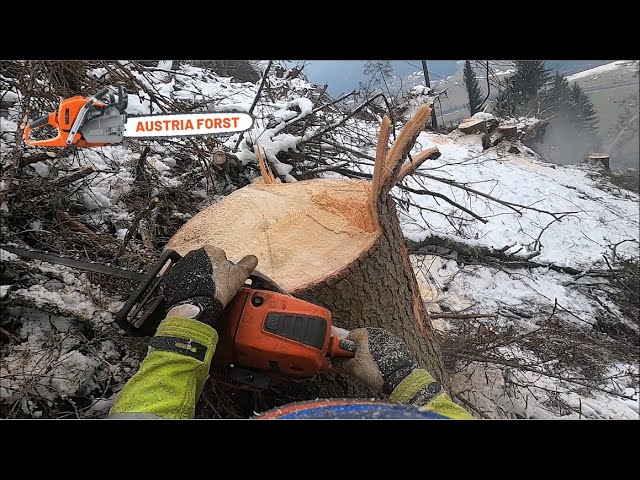 Holzfällen im extremen Steilgelände