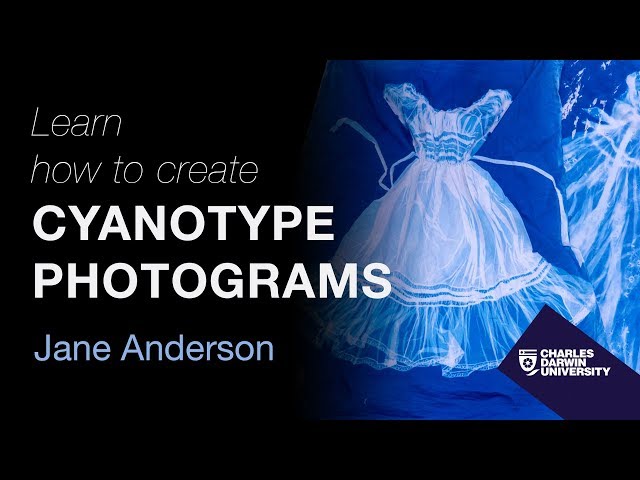 Cyanotype photogram