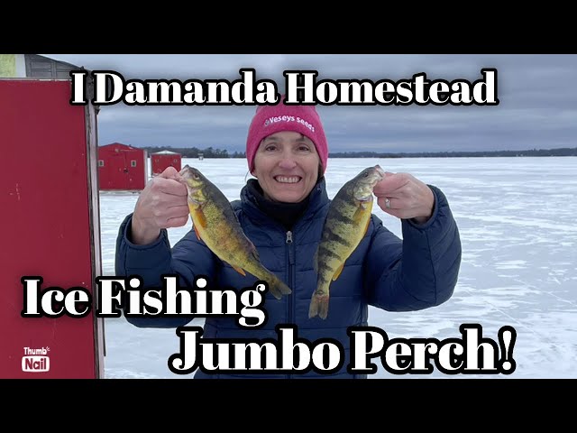 Ice Fishing for Jumbo Perch! Ontario, Canada.