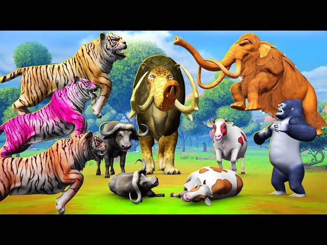 3 Tigers vs Mammoth Fight Cow Cartoon Elephant Saved By Woolly Mammoth Wild Animals