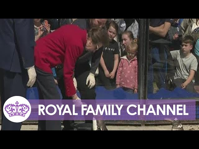Princess Anne Feeds the Penguins at Edinburgh Zoo