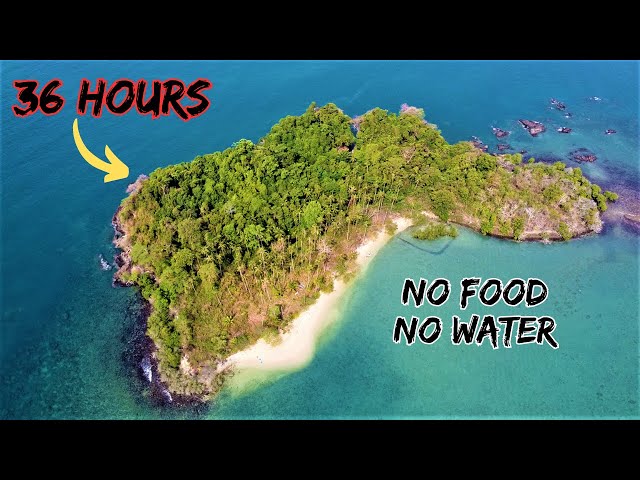 Alone on a Deserted Tropical Island with NO FOOD or WATER | Survival Challenge | Catch and Cook