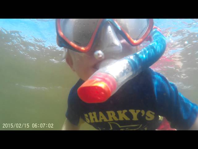 3 year old snorkeling