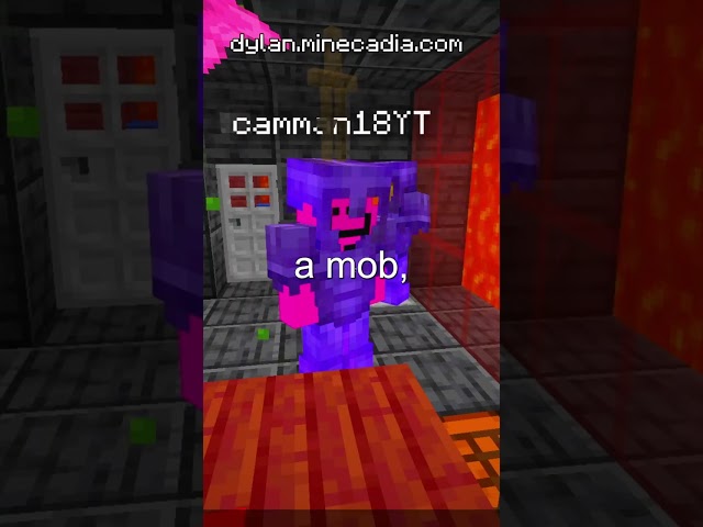 I Found Camman18 on the Lifesteal SMP!