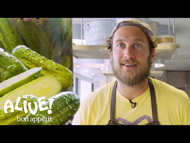 Brad Makes Crunchy, Half-Sour Pickles | It's Alive | Bon Appétit