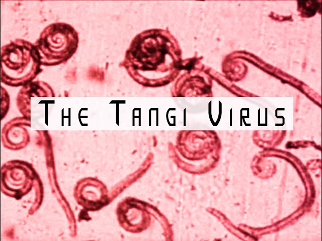 Analog Horror - The Tangi Virus