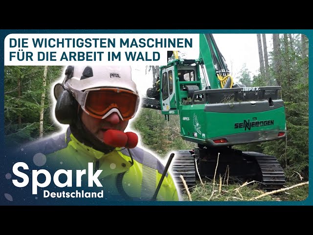 Maschinen, die die Forstwirtschaft revolutionieren | Spark Deutschland