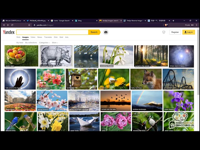 10 Minute Tip: Reverse Image Searching #1