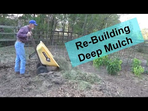 Deep Mulch and Compost Wayland's Way