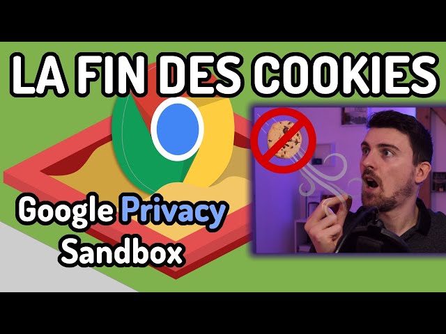 LA FIN DES COOKIES ? (Google Privacy Sandbox) [🛡️ VULINFO]
