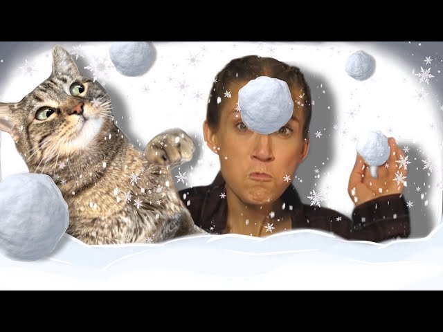 Snowball fight with Penny the cat!