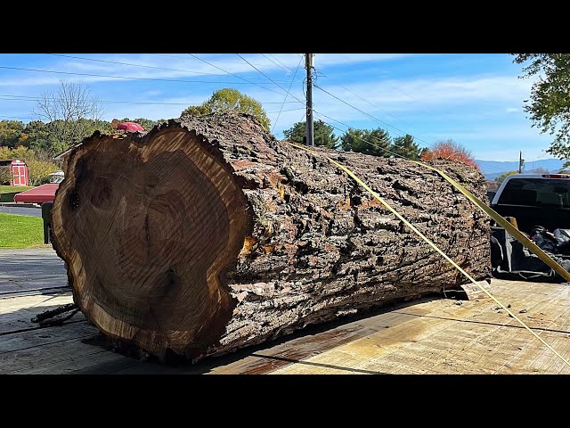 Look At What Showed Up At My Sawmill!