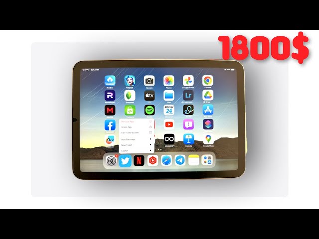 Selling iPad mini 6 with Original Twitter App Installed 1800$