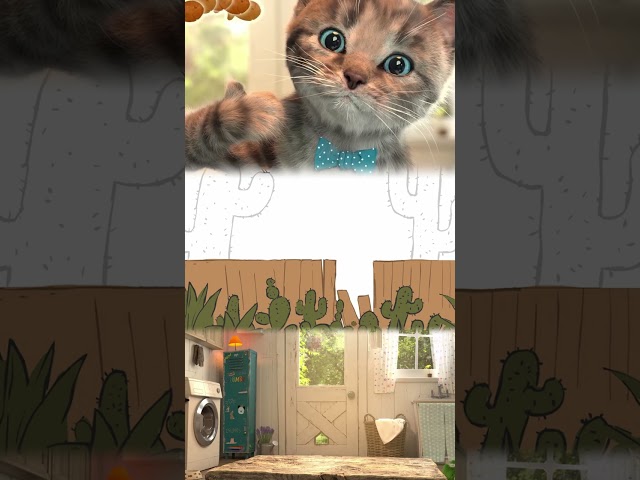 SHORT LITTLE KITTEN ADVENTURE - CUTE KITTY AND FUNNY CAT VIDEO