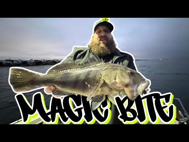 BREAKWALL MAGIC Part 1 | Insane Bass Fishing in Long Beach