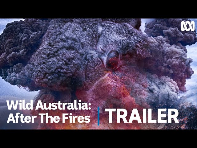 Wild Australia: After the Fires | Official Trailer