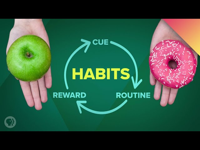 How Habits Can Change Your Life (and Your Brain)