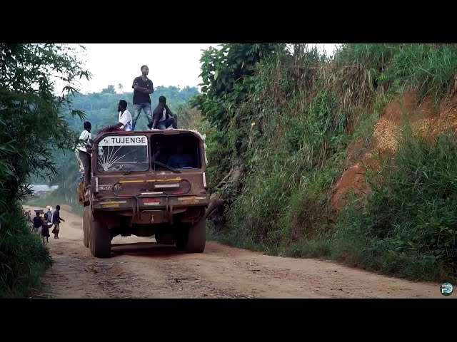 Congo: Jungle Fever | Deadliest Journeys