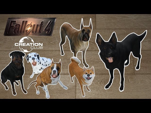 THE INCREDIBLE CHANGING DOG - Fallout 4: Creation Club (Part 11)