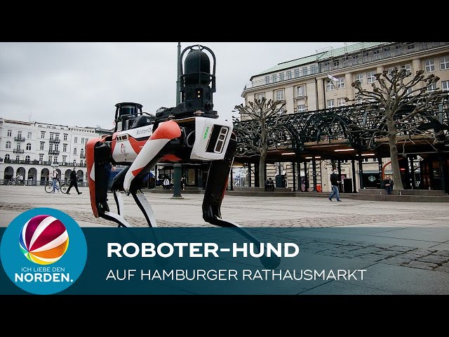 Roboter-Hund auf dem Hamburger Rathausmarkt
