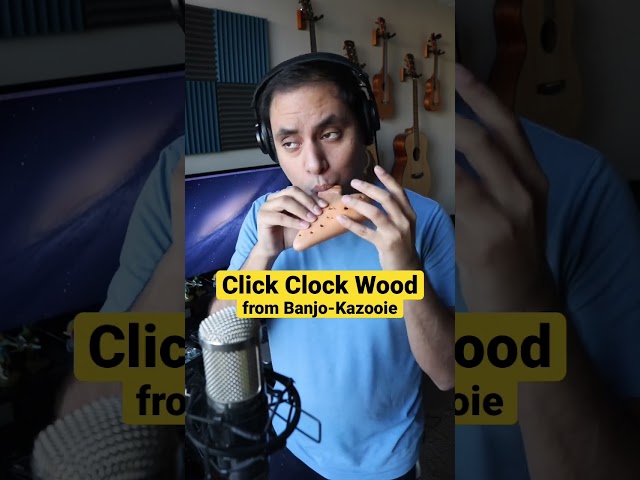 Ocarina Cover: Click Clock Wood from Banjo-Kazooie 🪕🦩
