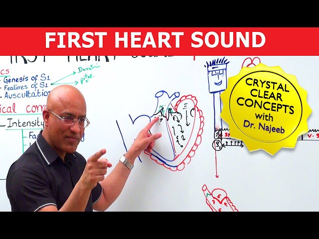 S1 Heart Sounds and Murmurs | First Heart Sound | Dr Najeeb🫀