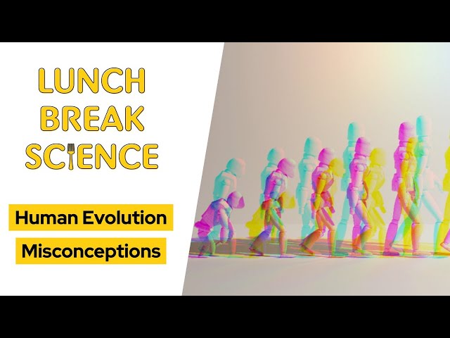 Human Evolution Misconceptions • Lunch Break Science
