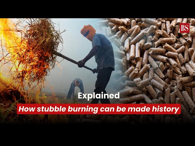 Watch | How stubble burning can be made history