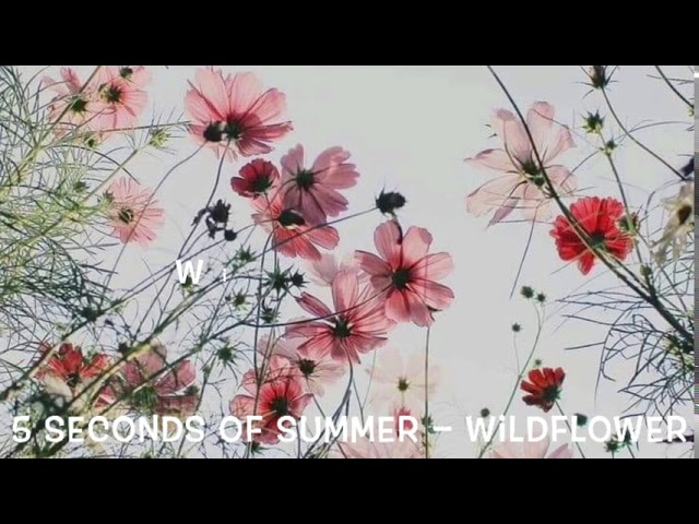 5 Seconds of Summer - Wildflower Lyrics