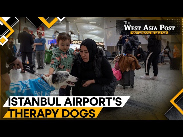 Istanbul Airport's solution to pre-flight anxiety | The West Asia Post | WION