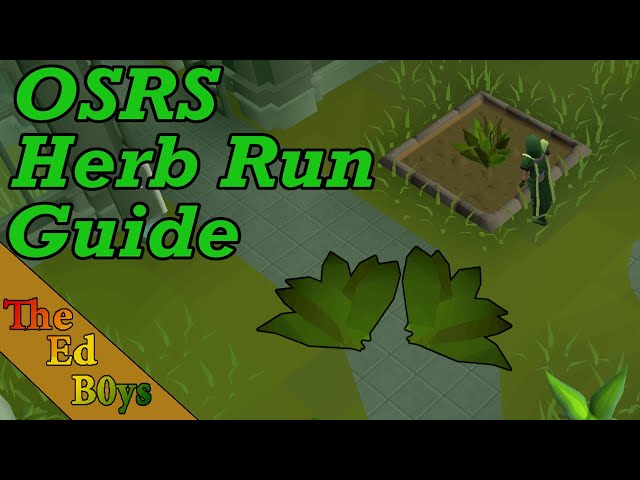 OSRS Herb Run Guide | Make Money Growing Herbs (Herb Runs)