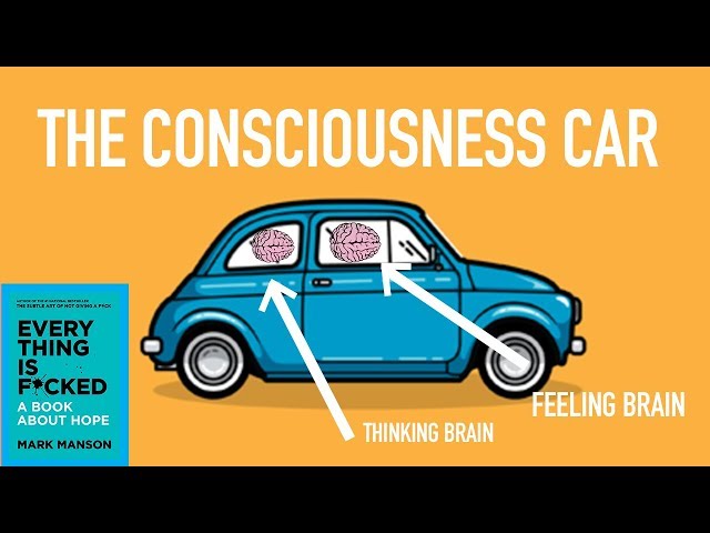 🧠 The Consciousness Car (Elephant & The Rider)  🧠