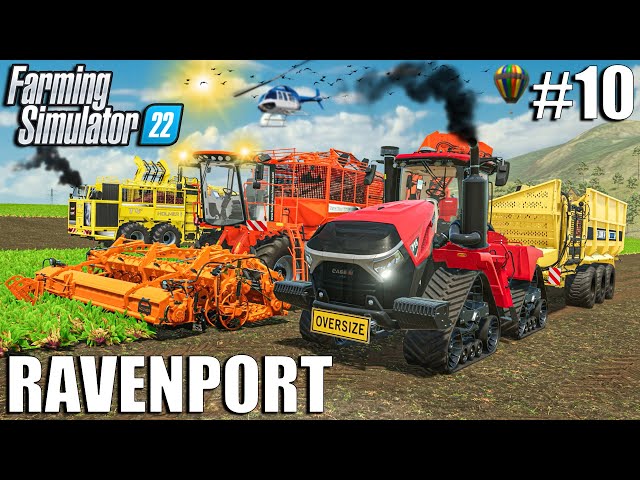 FIRST BIG RED BEETS HARVEST | Ravenport | Episode #10 | Farming Simulator 22