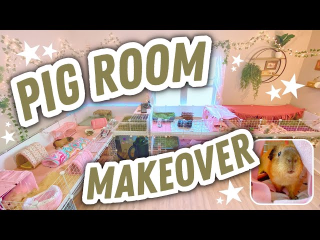 BRAND NEW GUINEA PIG ROOM MAKEOVER! ❤ Stacked C&C Cages
