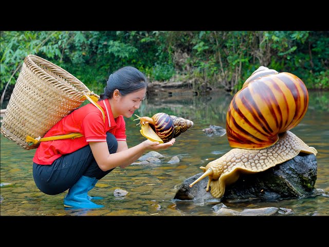 Harvesting STONE SNAIL and sell | Ella TV